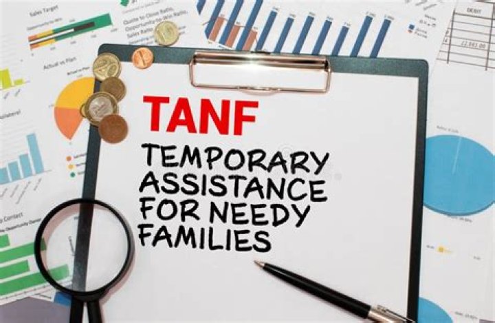 What is the historical background of TANF?