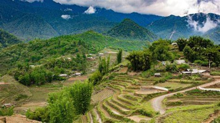 What is the landscape of South Asia?