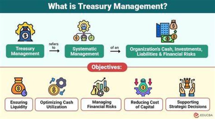 What is the meaning of treasury management?