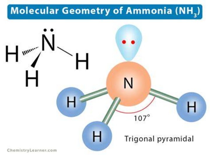 What is the molecular geometry of NH3?