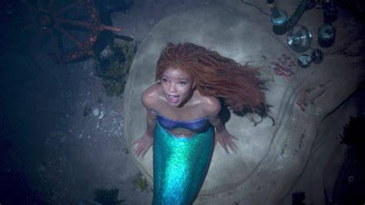 What is the problem in The Little Mermaid?