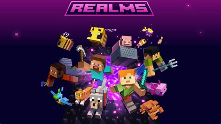 What is the realm in Minecraft?