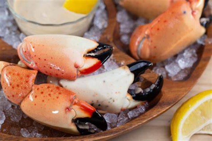 What is the season for stone crab claws?