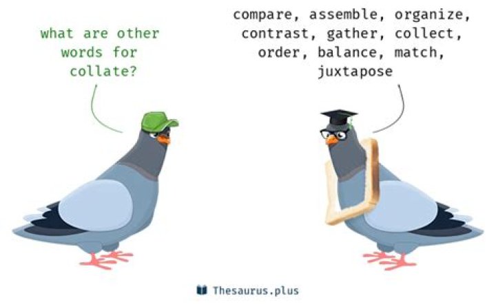What is the synonym of collate?