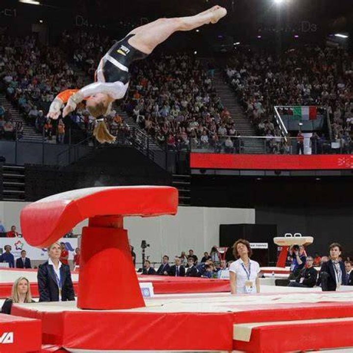 What is the vault in gymnastics made of?