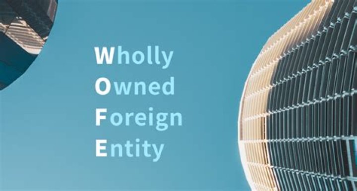What is WOFE? What do you need to know about using a WOFE to carry out