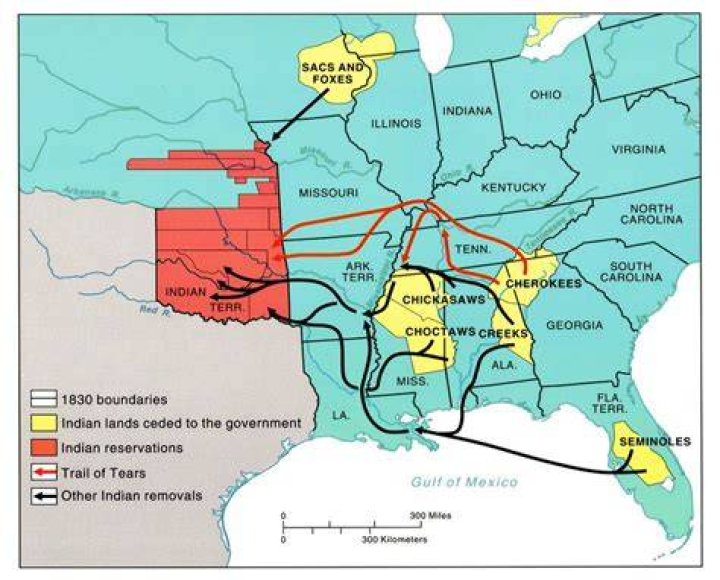 What treaty did the Indian Removal Act violate?