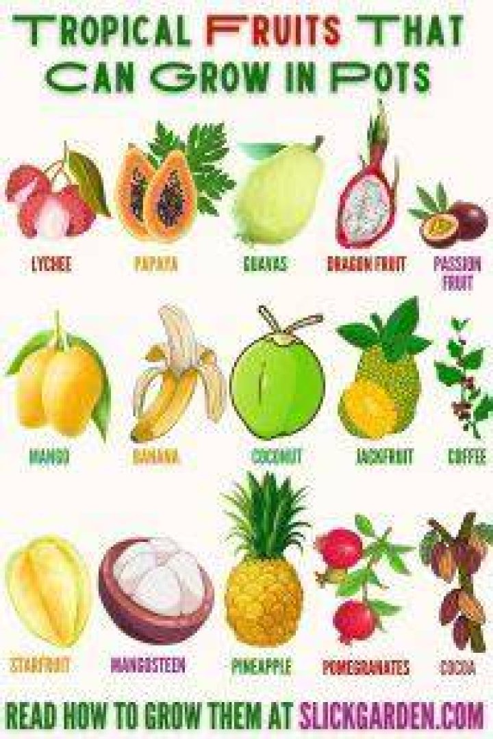 What tropical fruits can grow in Arizona?