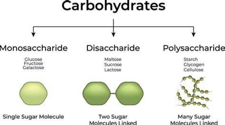 What type of reaction breaks polysaccharides and disaccharides into monosaccharides?