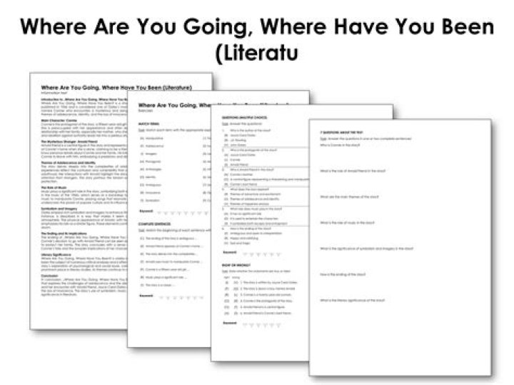 Where Are You Going? Where Have You Been? PDF Guide