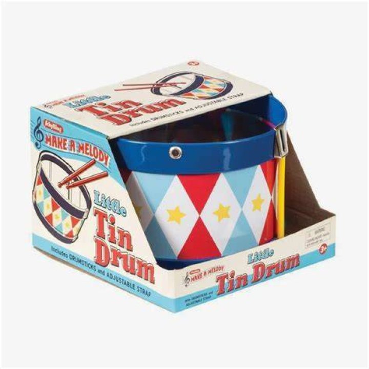 Where does the tin drum take place?