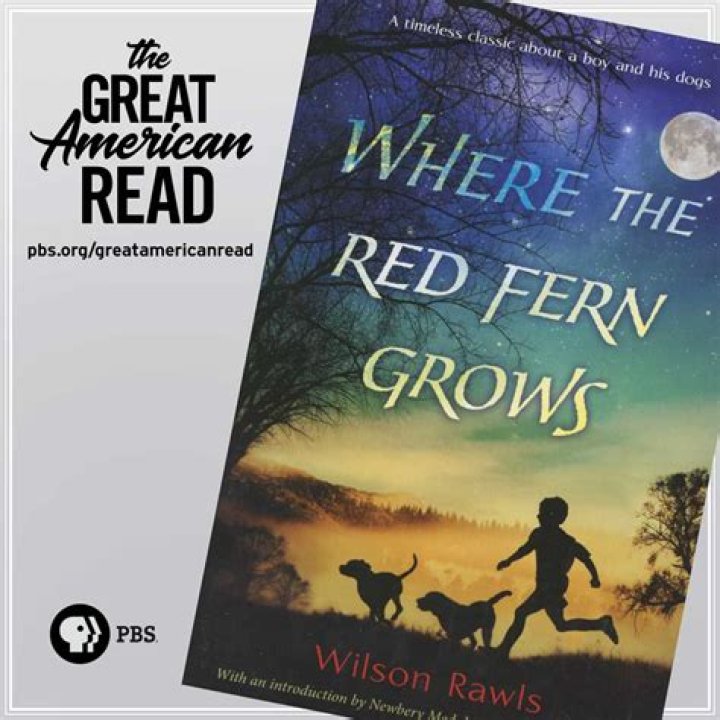 Where the Red Fern Grows: Questions and Answers PDF Guide