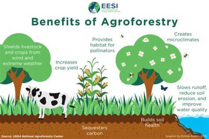 Which is the social benefit of agroforestry?