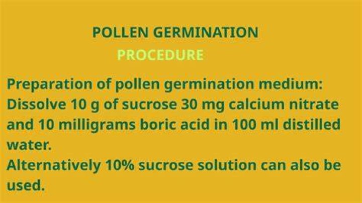 Which medium is required for pollen germination?