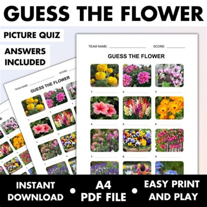 Who Am I Flower Quiz Answers PDF: Discover Your Inner Botanical Personality
