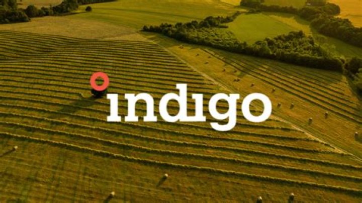 Who are the investors in indigo AG?