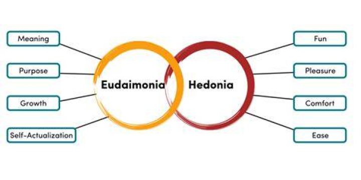 Who defines happiness as eudaimonia?