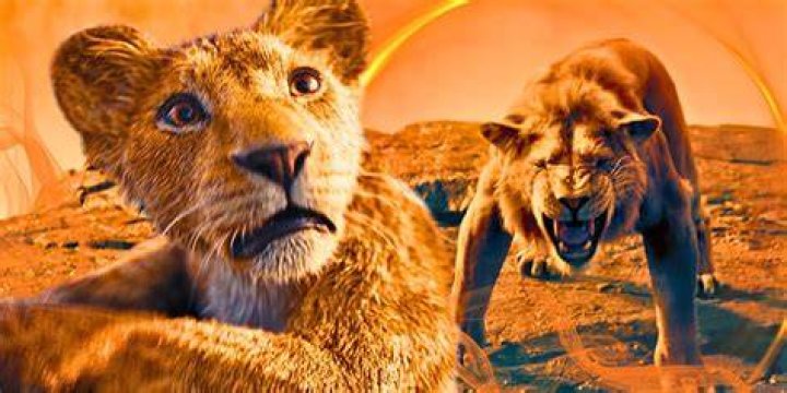 Who did Mufasa marry?