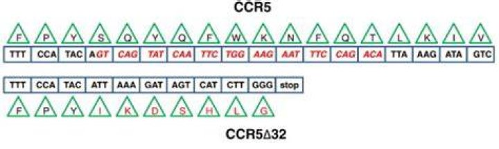 Who has the CCR5 delta 32 mutation?