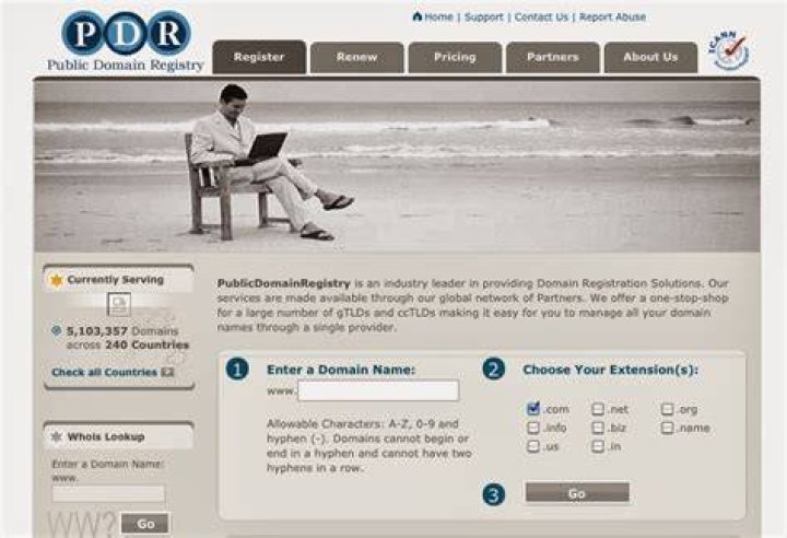 Who is public domain registry?