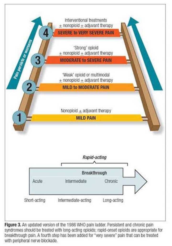 Who Ladder for Effective Pain Management: A Comprehensive Guide PDF