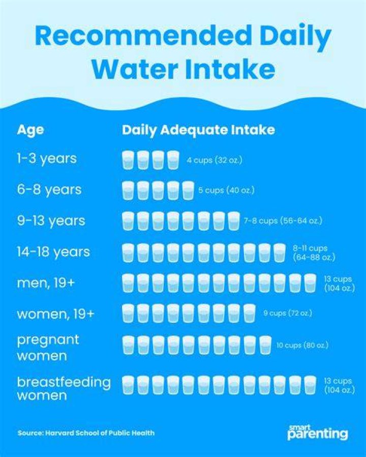 WHO recommended daily water intake?