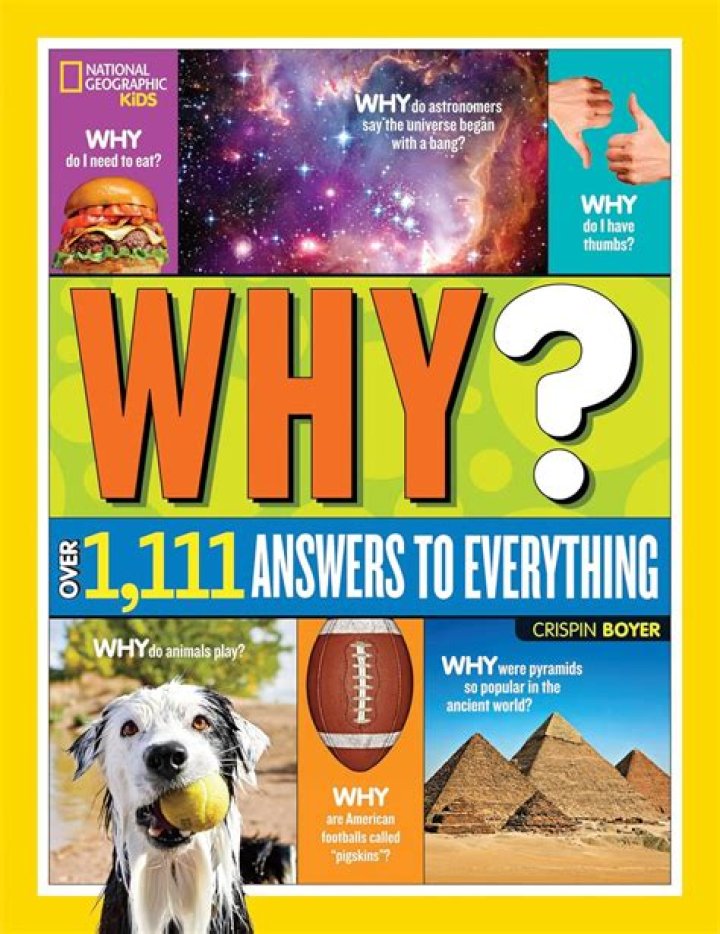 Why 1111 Answers Everything: The Ultimate PDF Guide