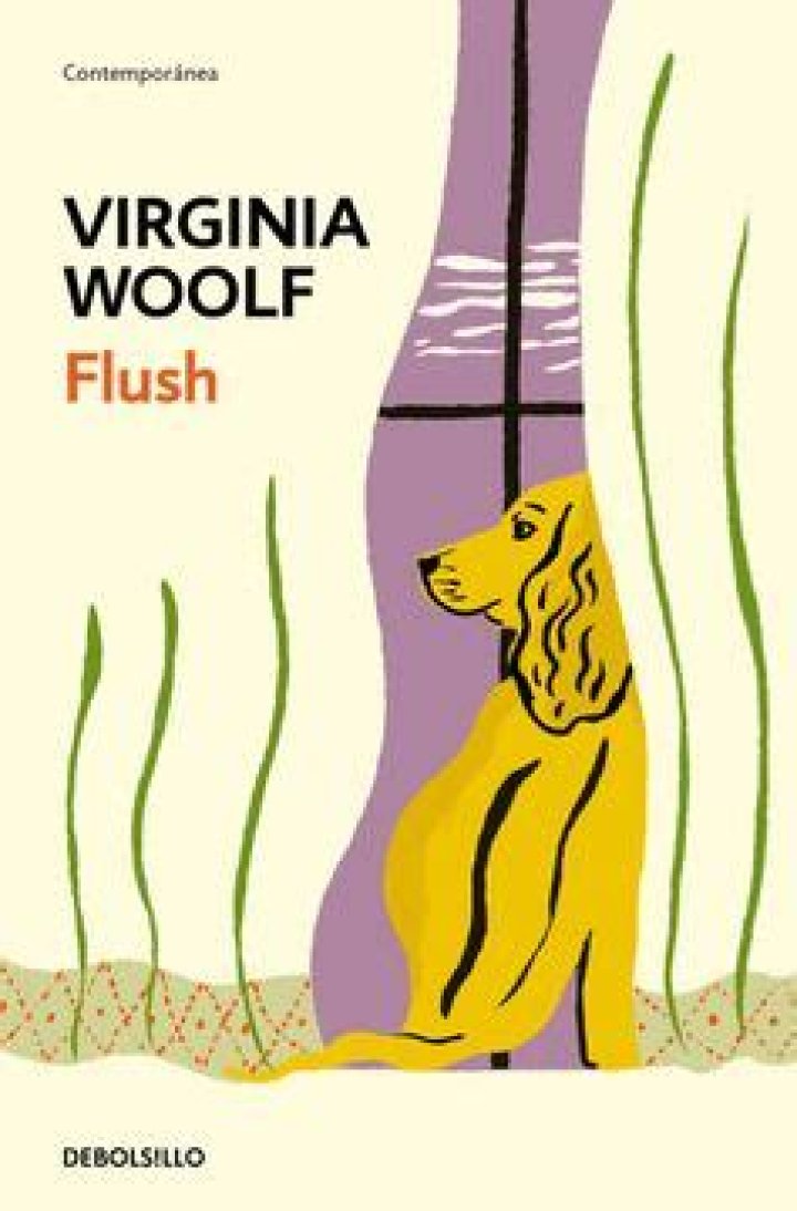 Why did Virginia Woolf write flush?