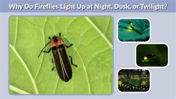 Why do bullets light up at night?