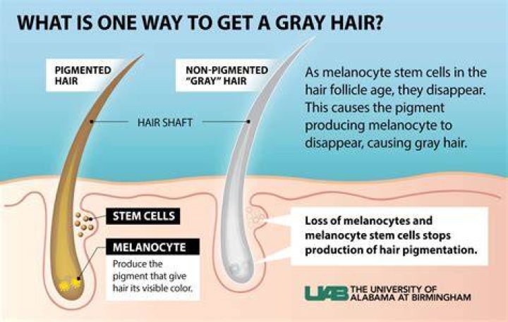 Why does your hair turn GREY at a young age?