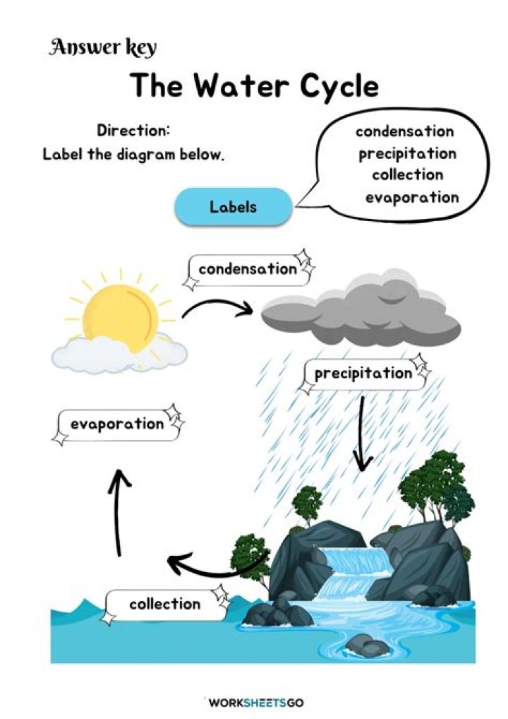 Why Is Life Like a Shower? Worksheet Answers PDF with Insights