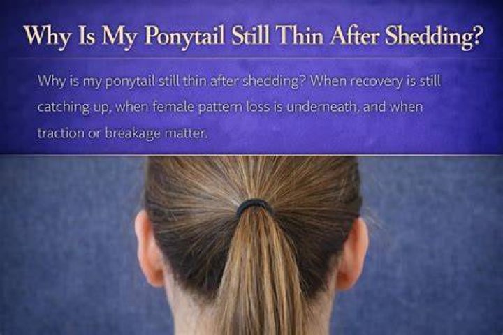 Why is my ponytail so thin?