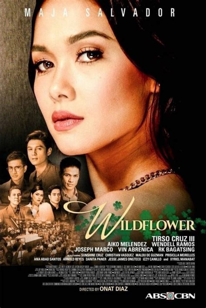 Wildflower (2017)