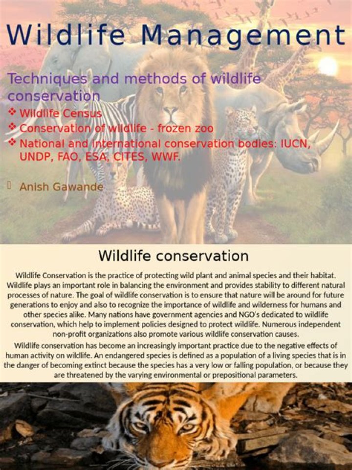 Wildlife Conservation and Management PDF: Essential Guide