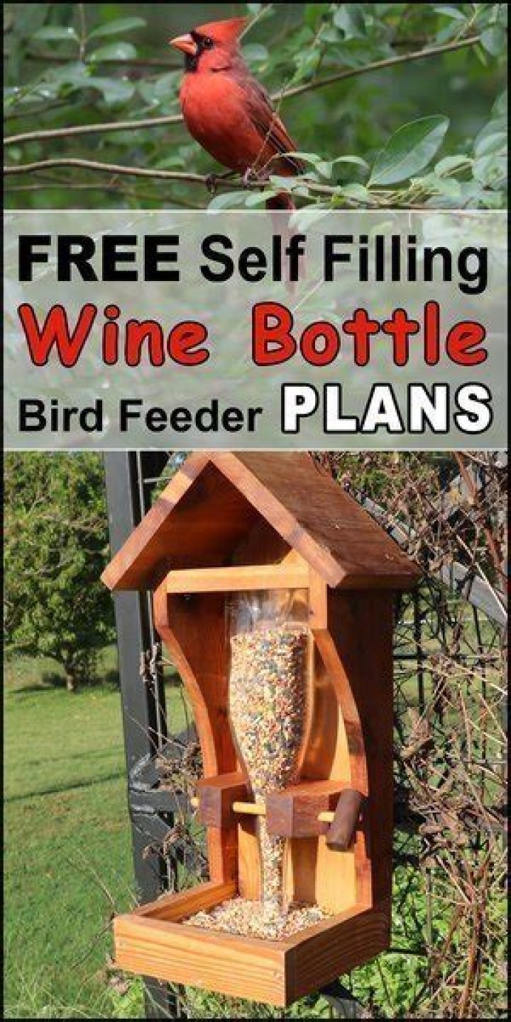 DIY Wine Bottle Bird Feeder Plans PDF – Easy & Stylish DIY Bird Feeder