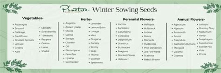 Winter Sowing Seed List PDF – Grow Cold-Hardy Plants with Ease