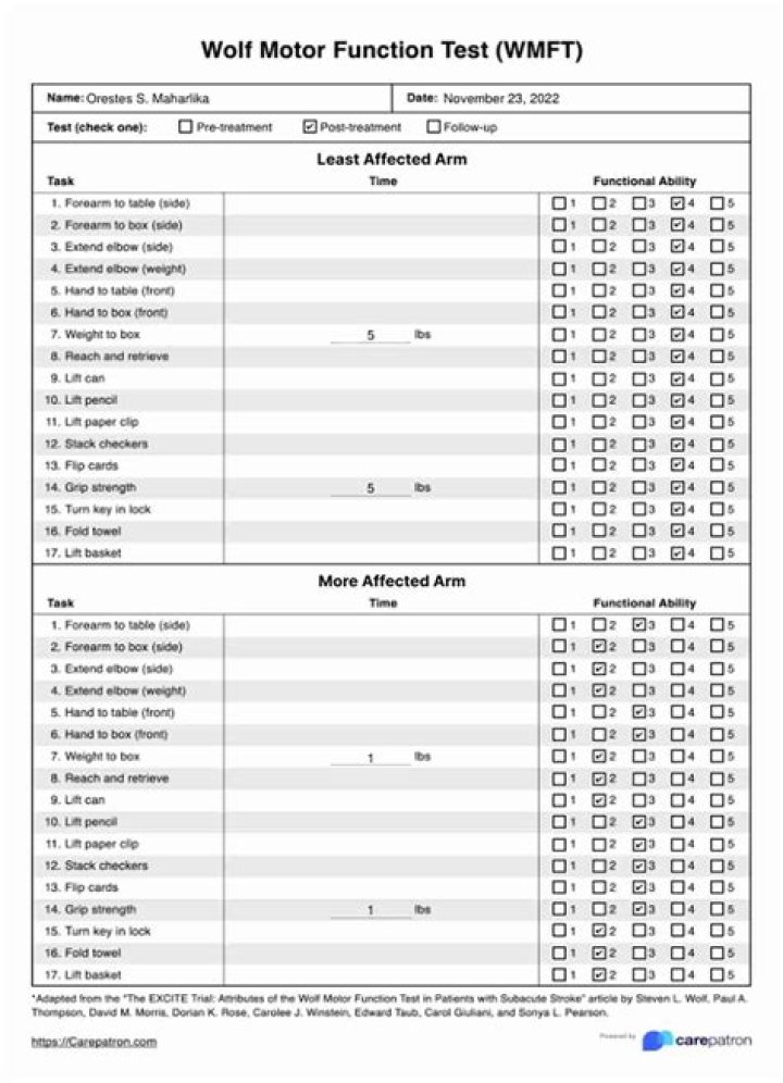 Wolf Motor Function Test PDF – Complete Diagnostic Guide