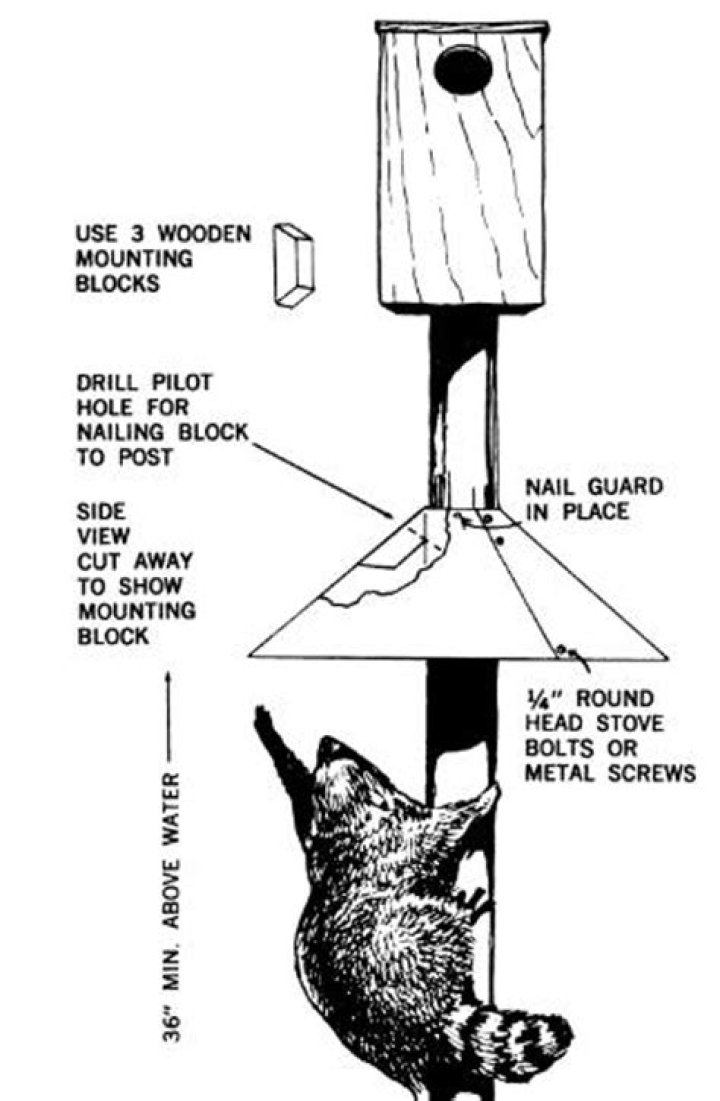 Wood Duck Box Plans PDF Free Download – Build Your Own Nest Box
