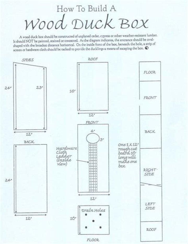 Wood Duck Box Plans PDF: Easy DIY Guide for Attracting Waterfowl