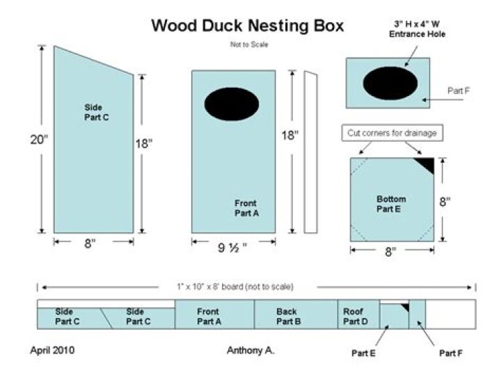 Wood Duck Nesting Box Plans PDF – Easy DIY Housing for Wild Ducks