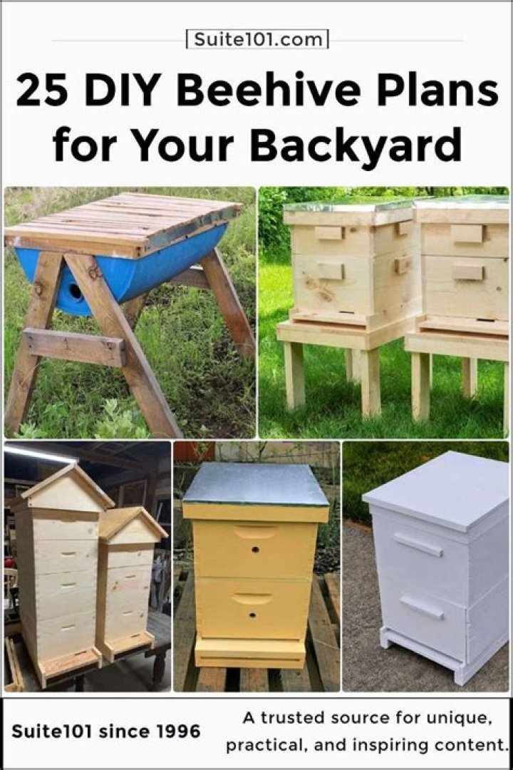 Wooden Bee Hive Stand Plans PDF – Build Your Own DIY Hive Stand