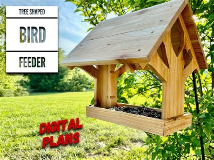 Wooden Bird Feeder Plans PDF – Free Download