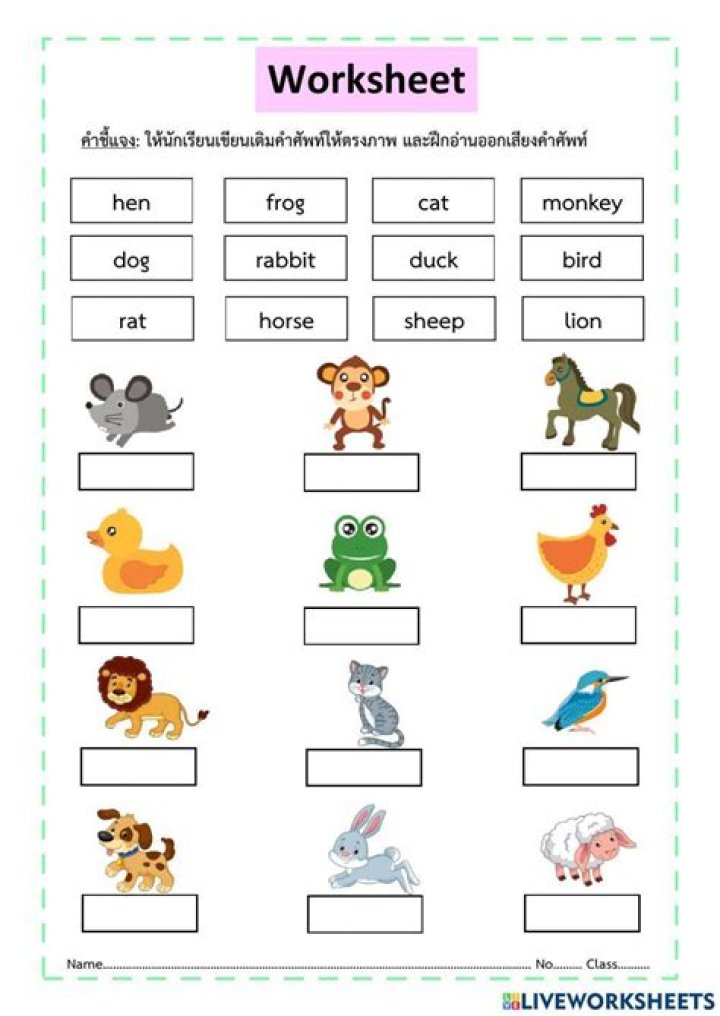 Free Printable Worksheets for 5 Year Olds – PDF Download