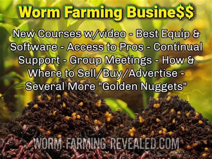 Worm Farm Business Plan PDF: Grow Profitable Soil Solutions
