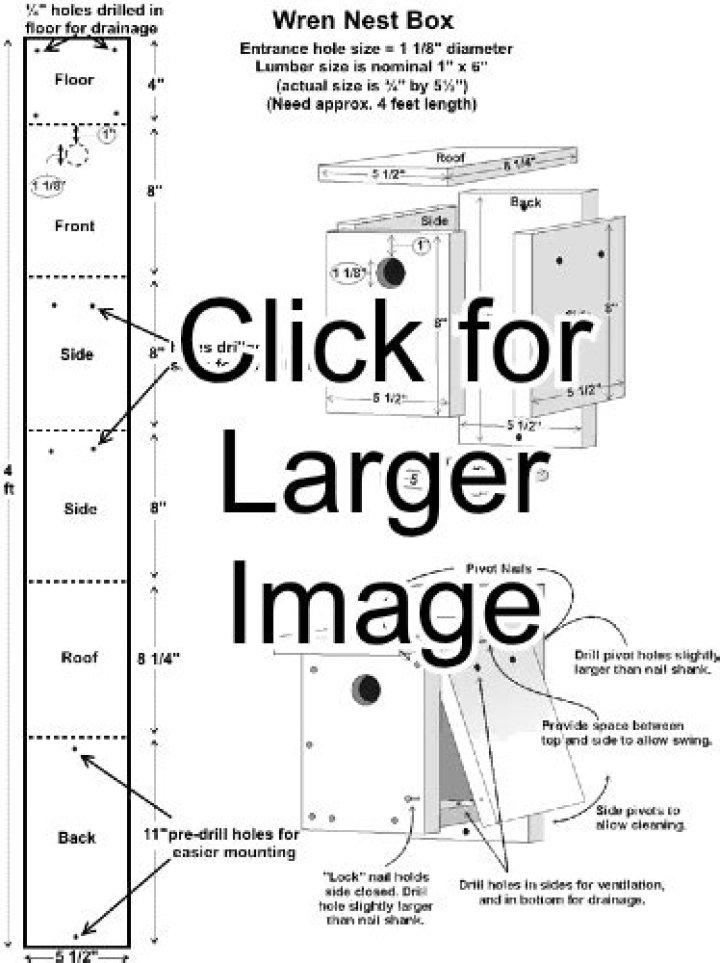 Free Wren Bird House Plans PDF – Easy DIY Bird Shelter