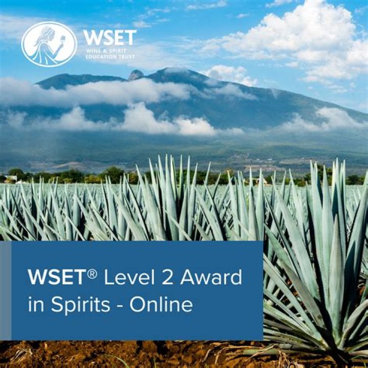 Wset Level 2 Spirits Exam Questions & Answers PDF – Download Now