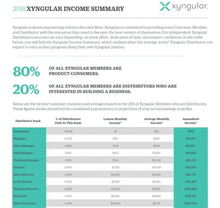 XYngular Compensation Plan PDF: Full Guide & Download