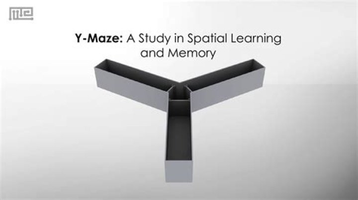 Y-Maze Test PDF: Accurate Cognitive Assessment for Research & Diagnosis
