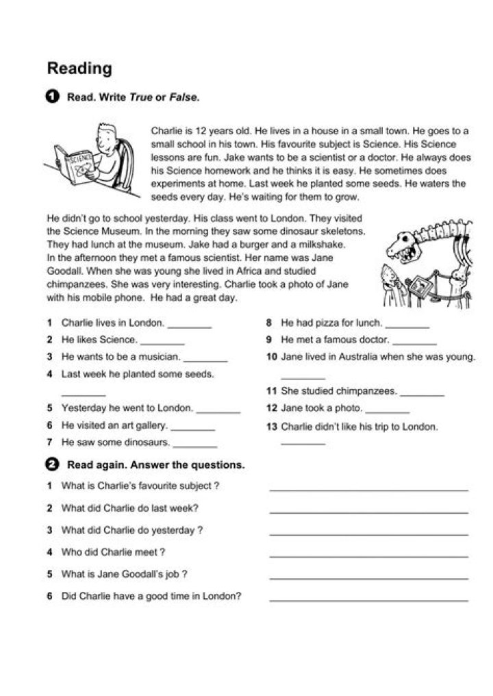 Year 6 Comprehension Worksheets PDF – Instant Download