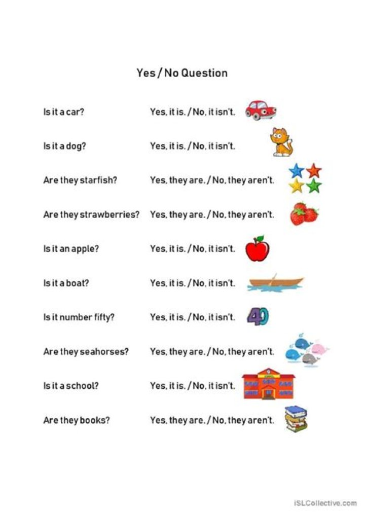 Yes or No Questions PDF: Instant Answers in One Download